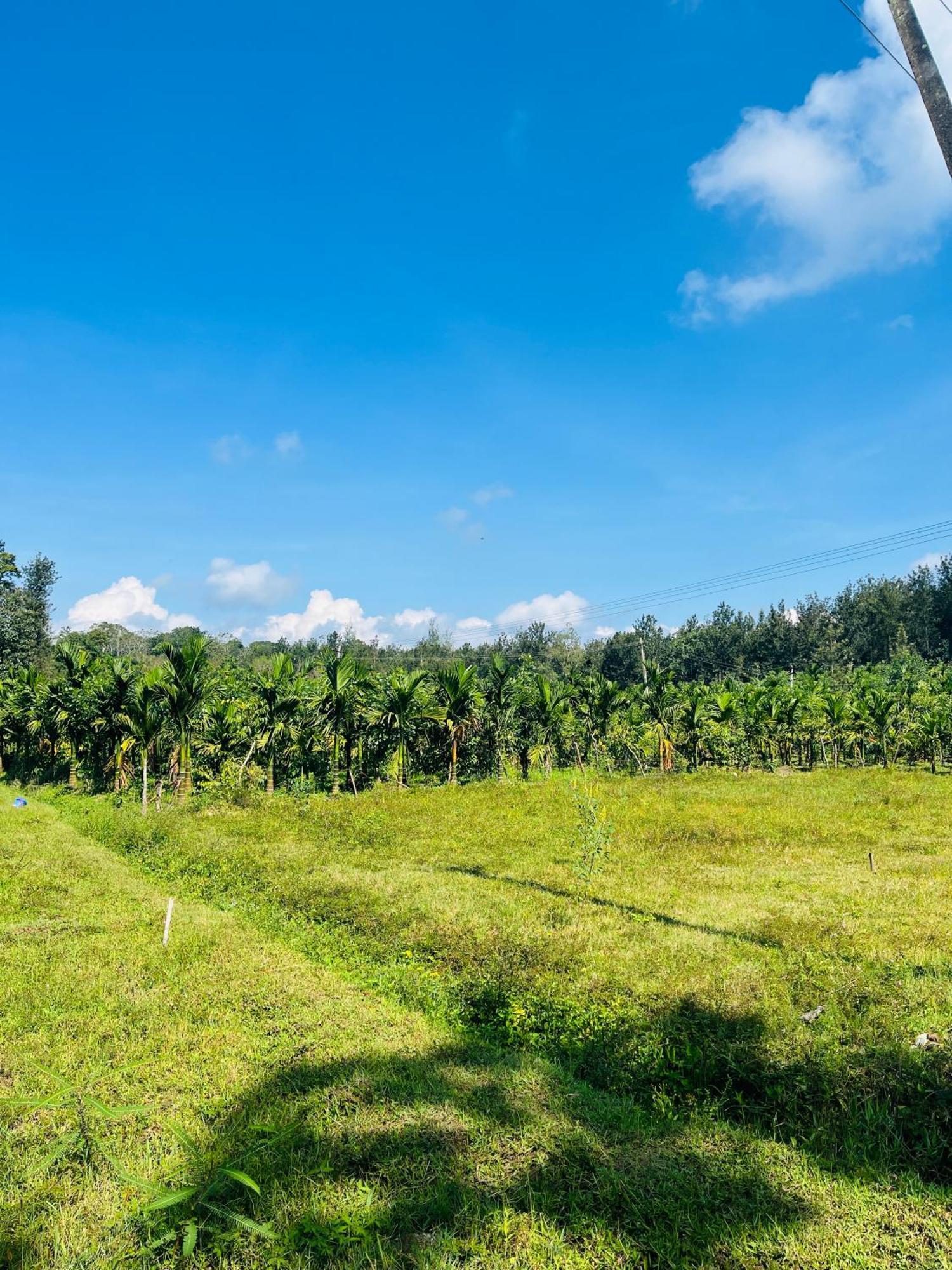 Preetham Homestay Kushālnagar Kültér fotó