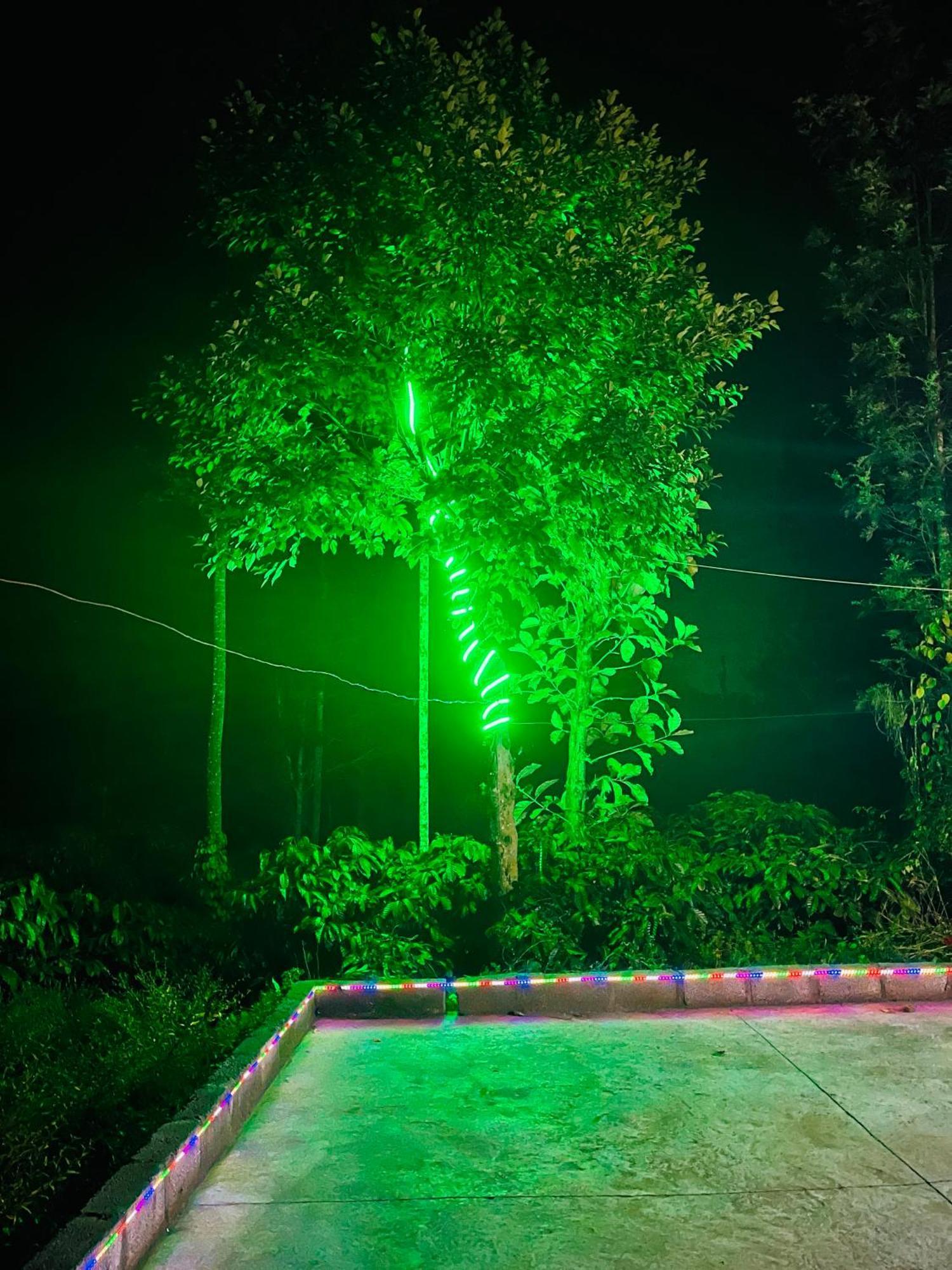 Preetham Homestay Kushālnagar Kültér fotó
